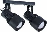 Спот Lyra A6252PL-2BK