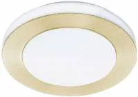 Потолочный светильник Led Carpi 900369