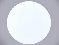 Настенно-потолочный светильник Bianco Bianco E 1.13.38 W