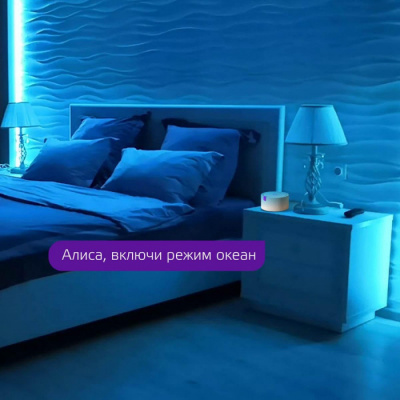 Светодиодная лента Smart Home 5010122